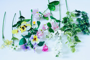 花材の画像